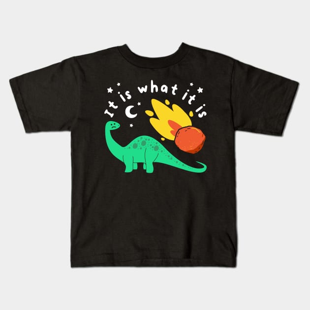Funny Dinosaur Joke, End Of The World, Meteor Humor, Birthday Kids T-Shirt by SmokingPencils